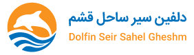 دلفين سير ساحل قشم